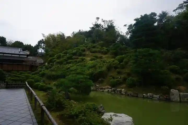 智積院の庭園