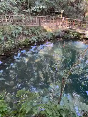 八重垣神社(島根県)