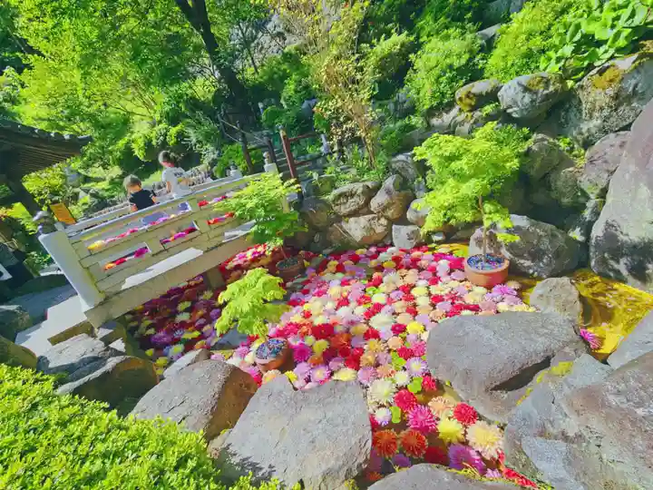 岡寺(龍蓋寺)(奈良県)