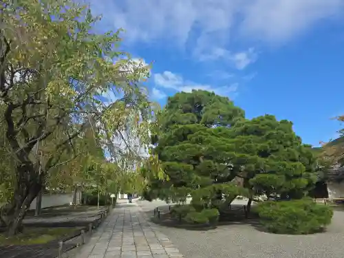 三宝院（三宝院門跡）(京都府)