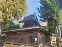 大戸氷川神社(埼玉県)