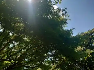 龍安寺(京都府)