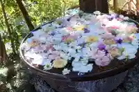 武蔵一宮氷川神社(埼玉県)