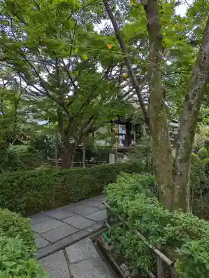 元慶寺(京都府)