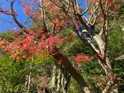 杉本寺(神奈川県)