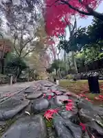 鹿王院(京都府)