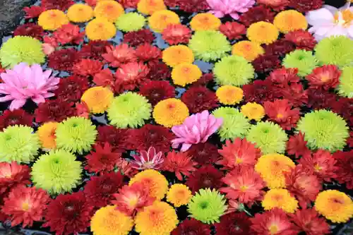 大鏑神社の手水舎
