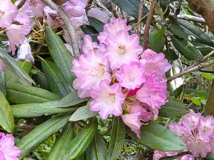 神峯寺(高知県)