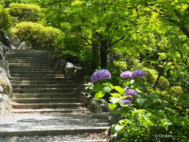 東福禅寺(東福寺)(京都府)