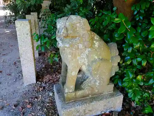 天神社の狛犬