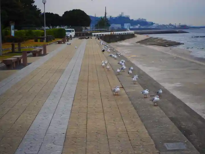 八百富神社の動物