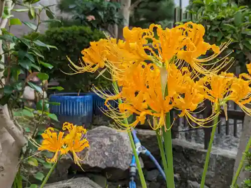 大松禅寺の庭園