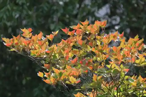 豊景神社の庭園