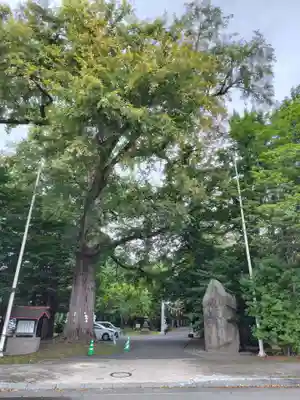 音更神社の自然