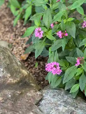 沖縄県護国神社(沖縄県)