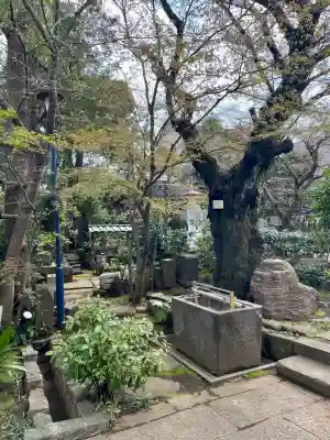 厳浄院(東京都)