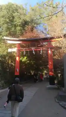 宇治上神社の鳥居