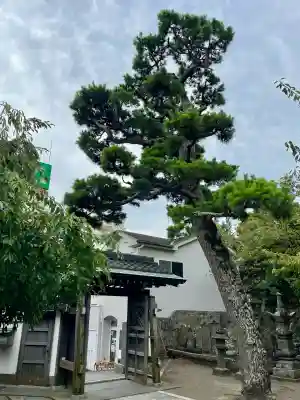 地福寺(神奈川県)