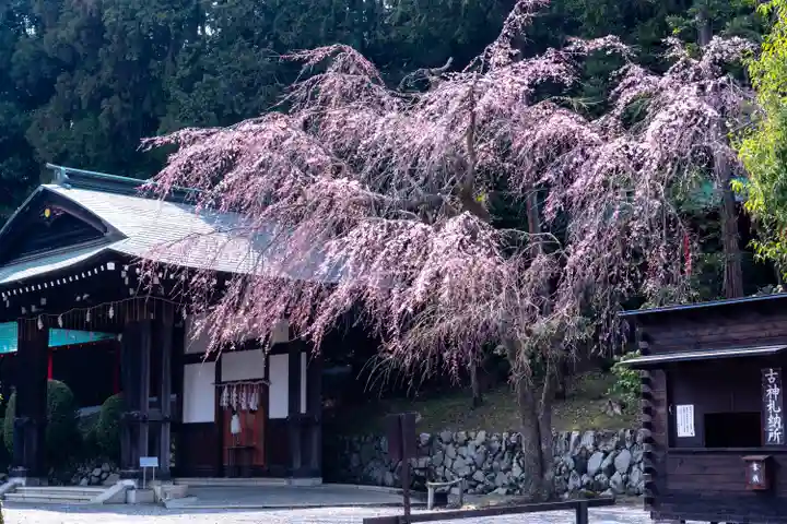 近江神宮(滋賀県)