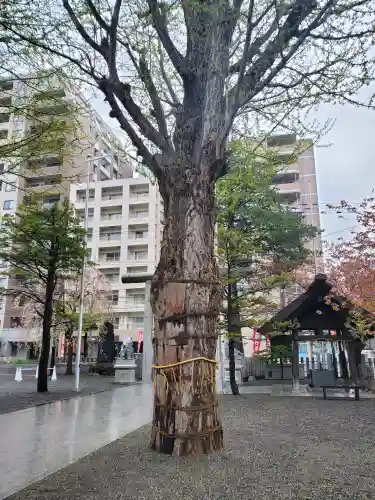 北海道神宮頓宮(北海道)