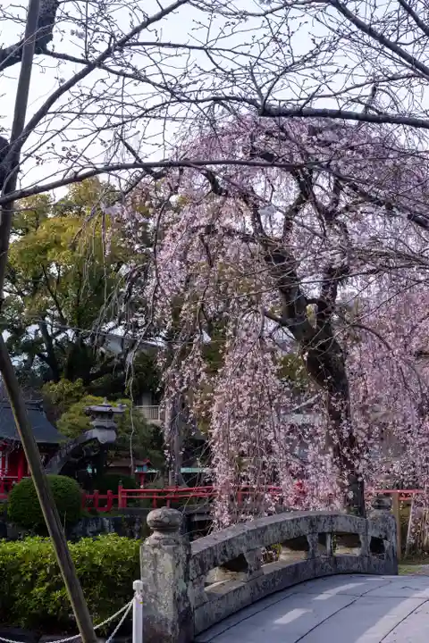 三嶋大社(静岡県)