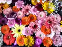 札幌諏訪神社の手水舎