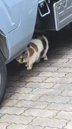 京都大神宮(京都府)