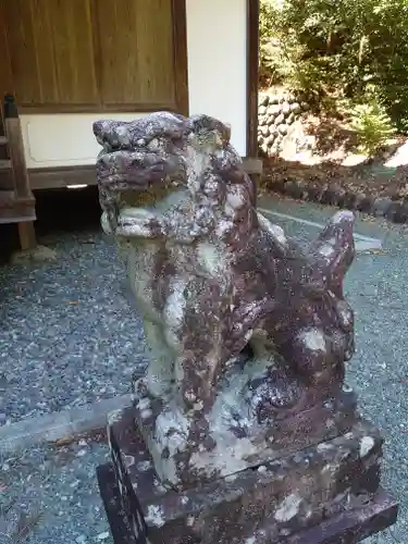 奥泉大井神社の狛犬