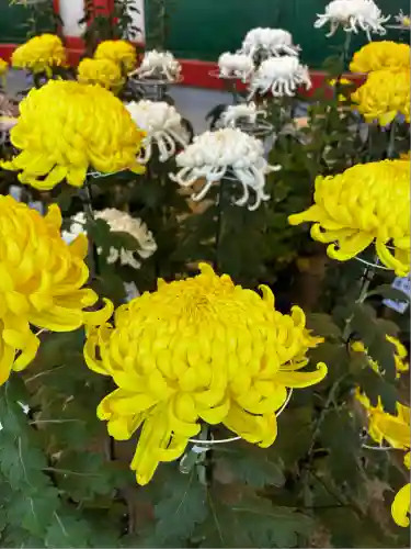 武蔵一宮氷川神社(埼玉県)