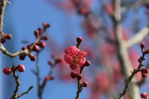 相馬妙見宮初發神社の庭園