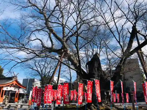 秩父今宮神社の自然