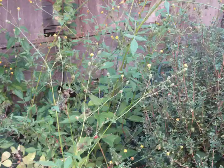 田端稲荷神社(埼玉県)