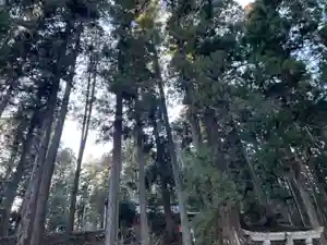 大宮温泉神社(栃木県)(2024年03月27日(水) 17時07分53秒投稿)