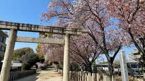 住吉神社の鳥居