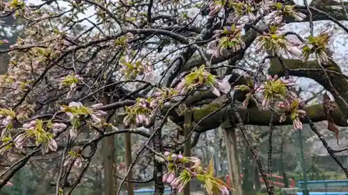 大原野神社(京都府)