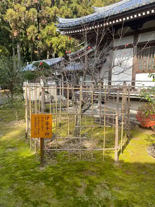 補陀洛山寺(和歌山県)
