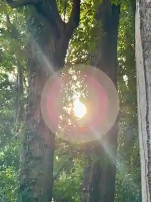 龍田大社(奈良県)