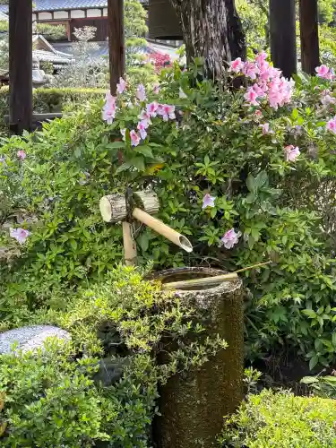 大池寺の{uncategorized: "未分類", other: "その他", undefined: "問題あり", building: "その他建物", grave: "お墓", sacred_gate: "鳥居", guardian: "狛犬", statue: "像", buddha: "仏像", history: "歴史", nature: "自然", garden: "庭園", animal: "動物", pagoda: "塔", temizu: "手水舎", mountain_gate: "山門・神門", sanctuary: "本殿・本堂", subordinate: "末社・摂社", art: "芸術", scenery: "景色", jizo: "地蔵", ema: "絵馬", goshuin: "御朱印", omikuji: "おみくじ", items: "授与品その他", amulet: "お守り", goshuincho: "御朱印帳", eats: "食事", festival: "お祭り", votive_dance: "神楽", shichigosan: "七五三参", wedding: "結婚式", experience: "体験その他", initially: "初詣", around: "周辺", anti_infection: "感染症対策"}