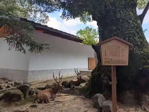 春日大社のその他建物