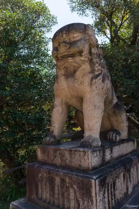 住吉大社(大阪府)