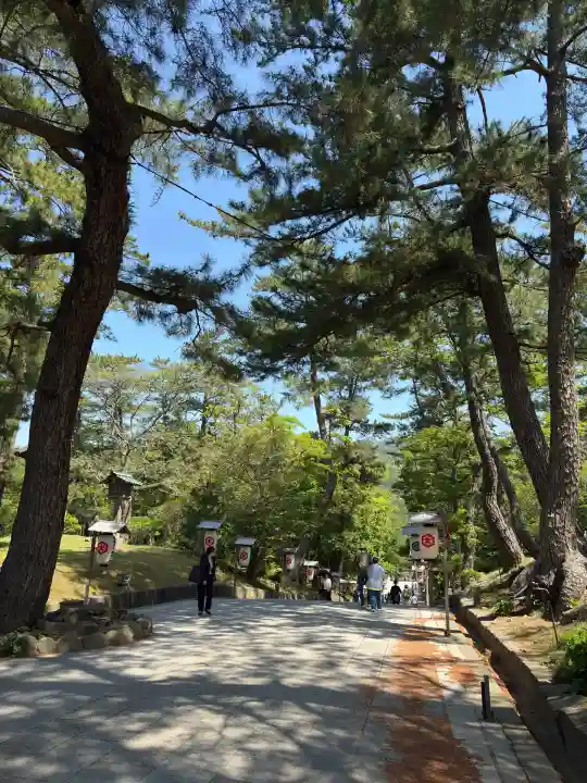 出雲大社(島根県)