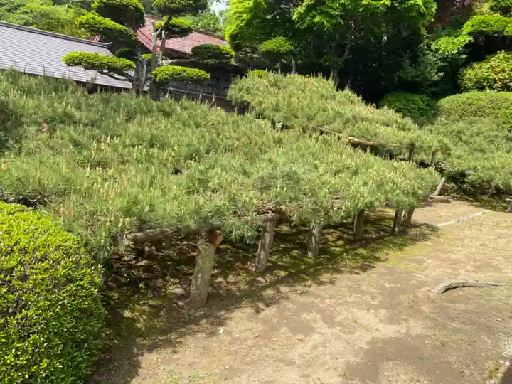 寺下観音の自然