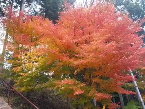 八雲神社(山梨県)