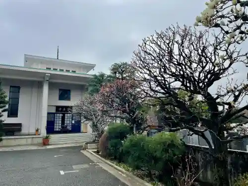 宗善寺の{uncategorized: "未分類", other: "その他", undefined: "問題あり", building: "その他建物", grave: "お墓", sacred_gate: "鳥居", guardian: "狛犬", statue: "像", buddha: "仏像", history: "歴史", nature: "自然", garden: "庭園", animal: "動物", pagoda: "塔", temizu: "手水舎", mountain_gate: "山門・神門", sanctuary: "本殿・本堂", subordinate: "末社・摂社", art: "芸術", scenery: "景色", jizo: "地蔵", ema: "絵馬", goshuin: "御朱印", omikuji: "おみくじ", items: "授与品その他", amulet: "お守り", goshuincho: "御朱印帳", eats: "食事", festival: "お祭り", votive_dance: "神楽", shichigosan: "七五三参", wedding: "結婚式", experience: "体験その他", initially: "初詣", around: "周辺", anti_infection: "感染症対策"}