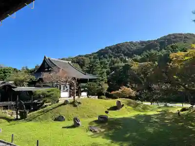 高台寺（高台寿聖禅寺・高臺寺）(京都府)