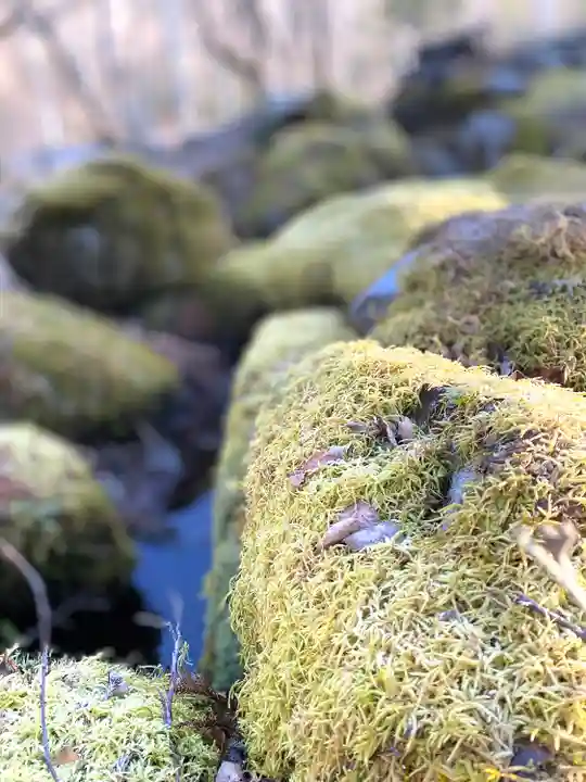 子檀倉宮(子檀嶺神社奥宮)(長野県)