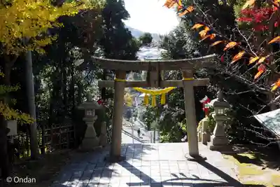 多井畑厄除八幡宮(兵庫県)
