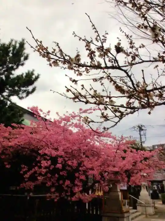 新宿下落合氷川神社(東京都)
