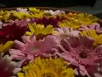 滑川神社 - 仕事と子どもの守り神の手水舎