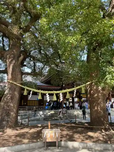 明治神宮の{uncategorized: "未分類", other: "その他", undefined: "問題あり", building: "その他建物", grave: "お墓", sacred_gate: "鳥居", guardian: "狛犬", statue: "像", buddha: "仏像", history: "歴史", nature: "自然", garden: "庭園", animal: "動物", pagoda: "塔", temizu: "手水舎", mountain_gate: "山門・神門", sanctuary: "本殿・本堂", subordinate: "末社・摂社", art: "芸術", scenery: "景色", jizo: "地蔵", ema: "絵馬", goshuin: "御朱印", omikuji: "おみくじ", items: "授与品その他", amulet: "お守り", goshuincho: "御朱印帳", eats: "食事", festival: "お祭り", votive_dance: "神楽", shichigosan: "七五三参", wedding: "結婚式", experience: "体験その他", initially: "初詣", around: "周辺", anti_infection: "感染症対策"}